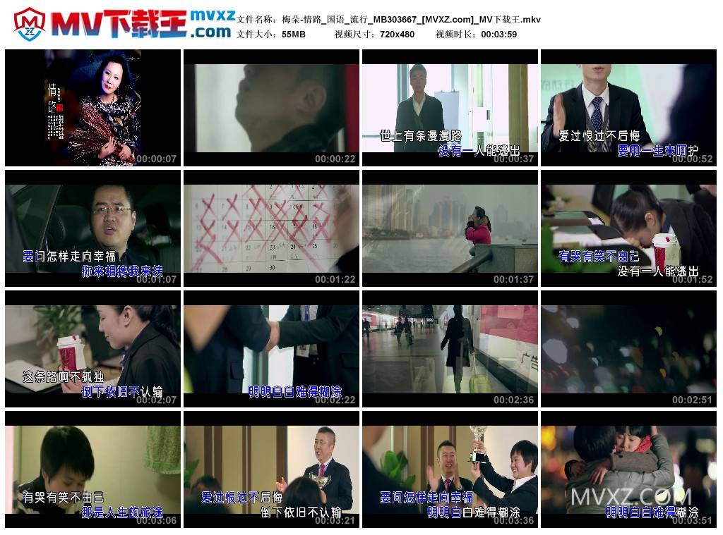 梅朵-情路_国语_流行_MB303667